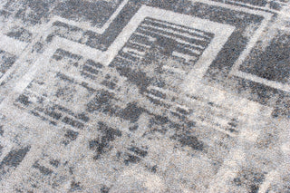 Distressed Bounty, Gray, 4'x5'