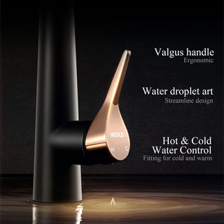 HIGOLD BN2.0 High Arc Spring Kitchen Faucet with Magnetic Technology