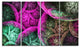Pink Green Dramatic Clouds, Abstract Canvas Wall Art, 48"x28", 4 Panels