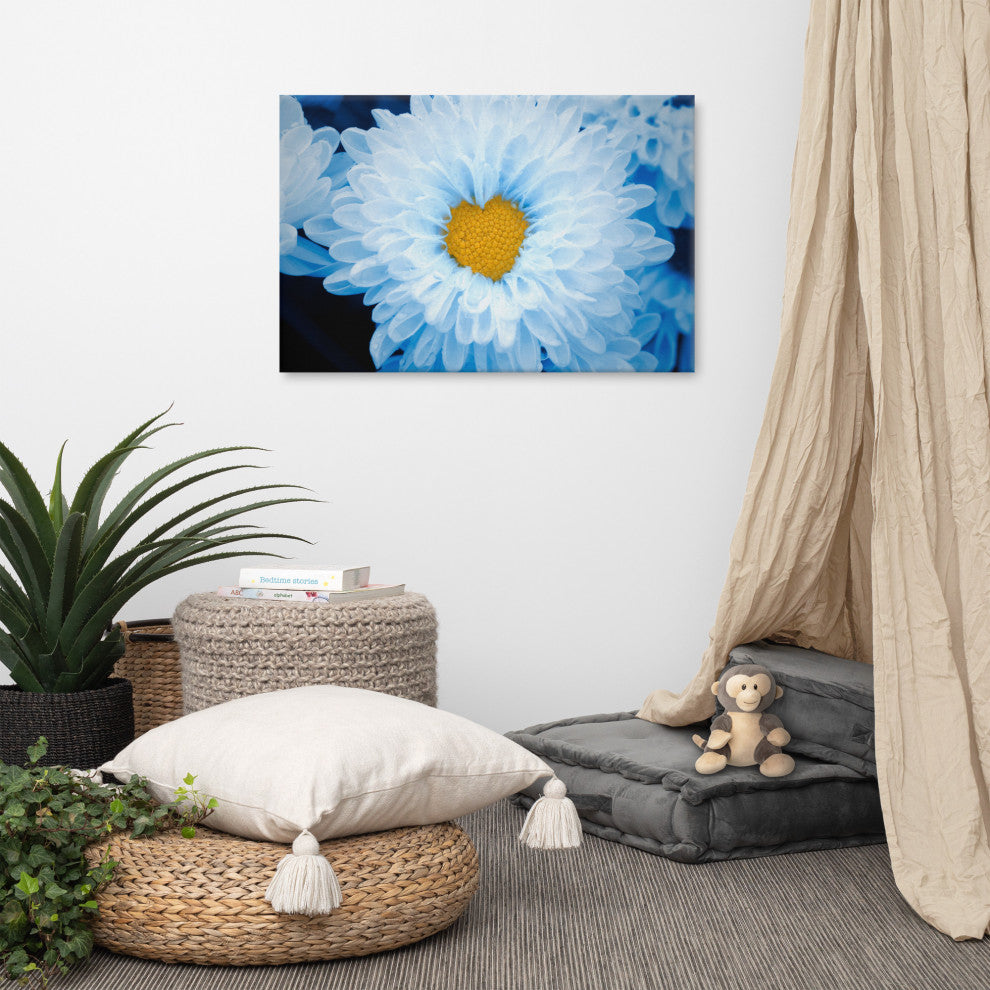 Blue Tinted Chrysanthemums Nature Photo Botanical Floral Canvas Wall Art Print, 24" X 36"