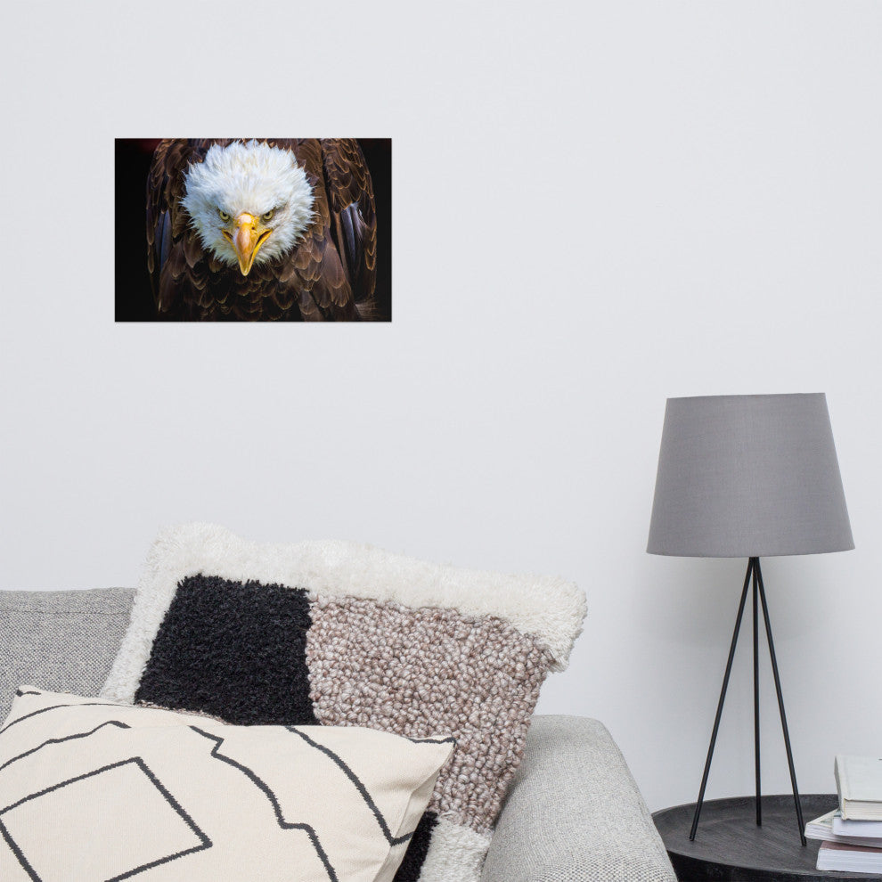 Bald Eagle Portrait Close-up Loose Wall Art Print, 12" X 18"