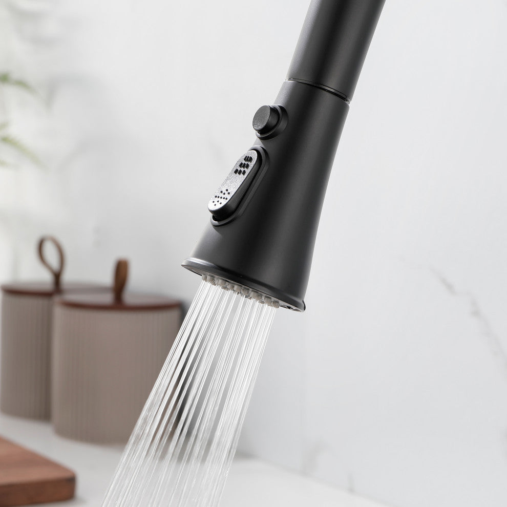 Wellfor Stainless Steel Kitchen Sink Faucet with Pull Down Spray, Matte Black
