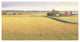 "Heartland Landscape II" Digital Paper Print by James Wiens, 74"x38"