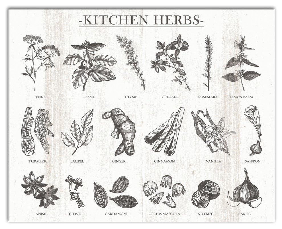 Kitchen Herbs 16x20 Print on Canvas