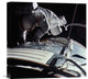"Extra Vehicular Activity, Apollo 17, 1972" Canvas Giclee by NASA, 18"x18"