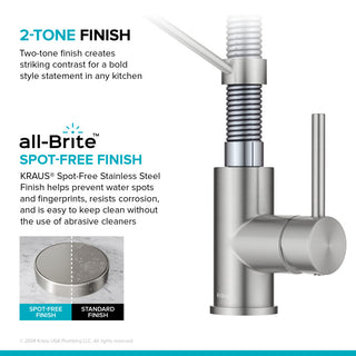 Bolden Commercial Style 2-Function Pull-Down 1-Handle 1-Hole Kitchen Faucet, Spot-Free Stainless Steel/ Chrome