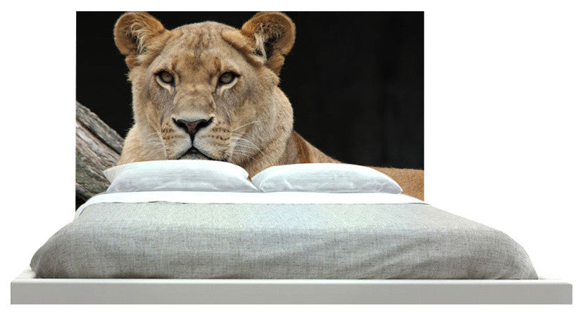 "Lion 34" Headboard