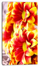 Red Yellow Flower Background Photo, Large Floral Canvas Artwork, 16"x32"