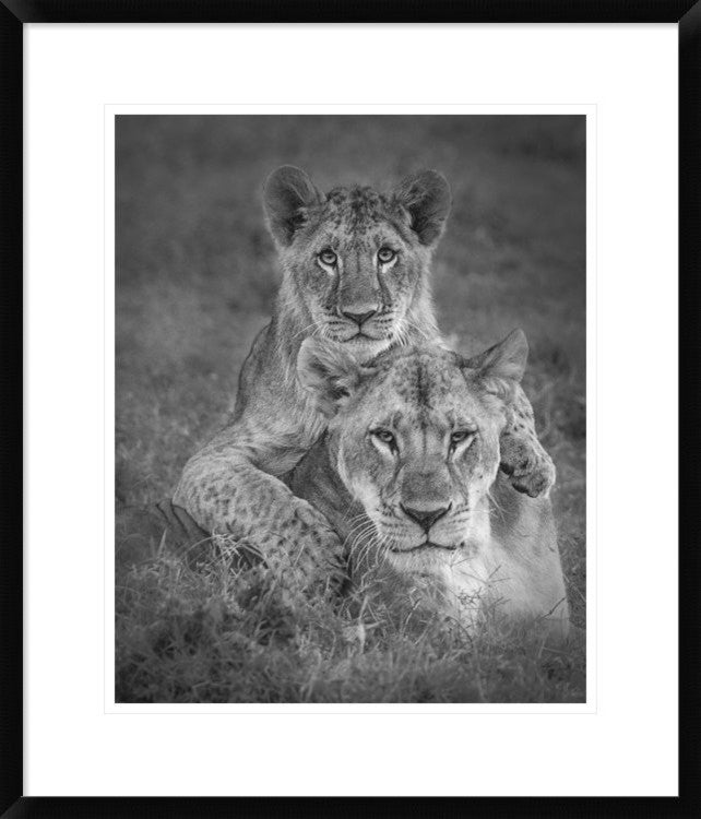 "Playtime With Mama!" Framed Digital Print by Ali Khataw, 24x28"