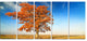 "Colorful Lonely Fall Tree" Landscape Canvas Photo Print, 5 Panels, 60"x28"