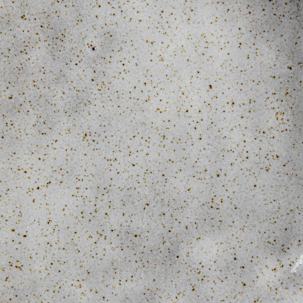 Speckled Stoneware Organic Shaped Footed Dish, White