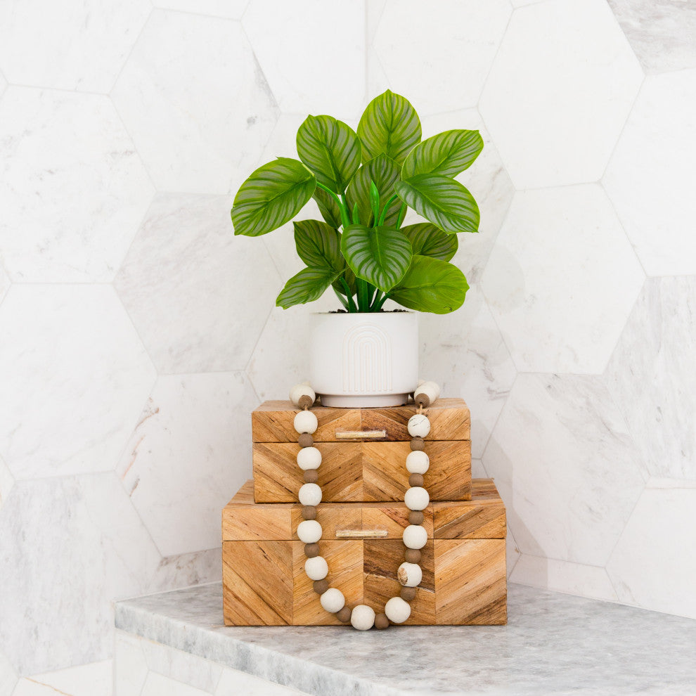 12in. Artificial Calathea Plant with Decorative Planter