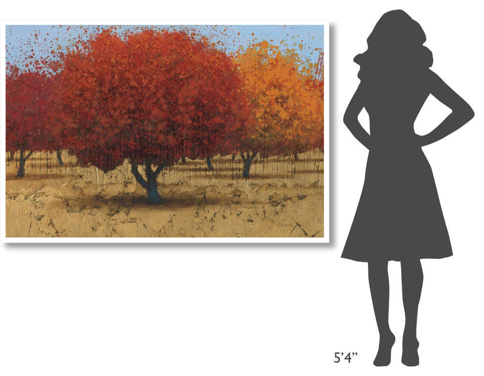 "Orange Trees II" Digital Paper Print by James Wiens, 62"x42"