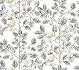Limoncello Toile Black Wallpaper