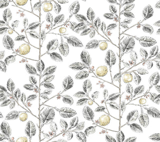 Limoncello Toile Black Wallpaper