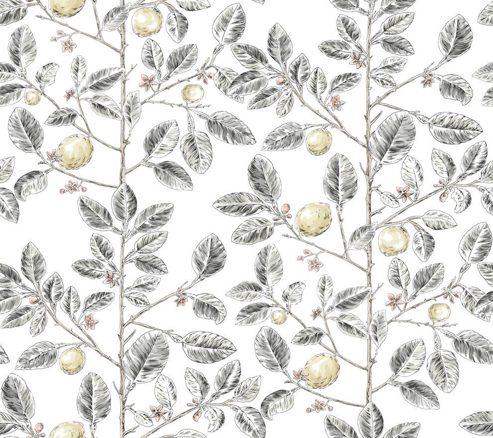 Limoncello Toile Black Wallpaper