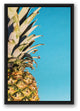Large Pineapple Blue 16x24 Black Floating Framed Canvas