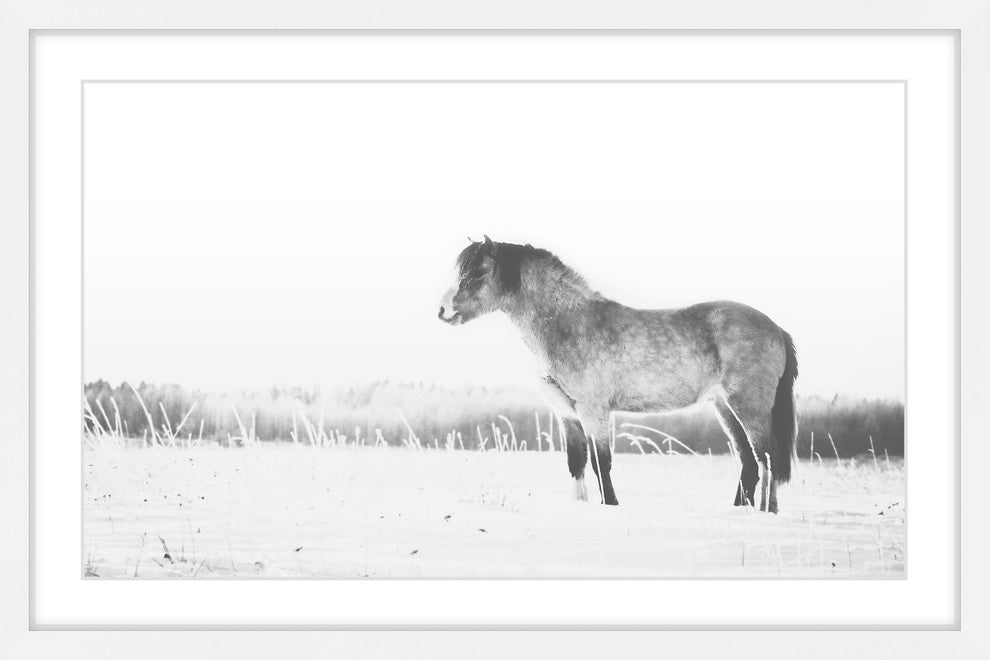 Marmont Hill, "Basking in the Sun" Framed Painting Print, 45x30