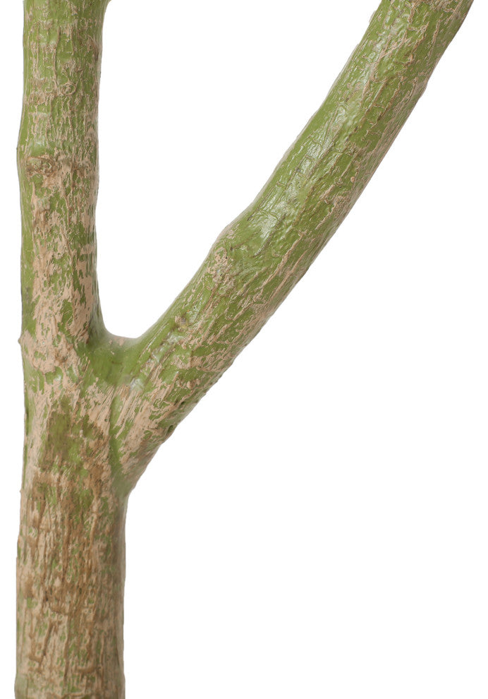 Coles Artificial Money Tree, Green, 35.4wx31.5dx70.9h