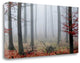 "Misty Woods" By Photoinc Studio, Giclee Print on Gallery Wrap Canvas