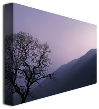 'Purple Hours' Canvas Art by Philippe Sainte-Laudy