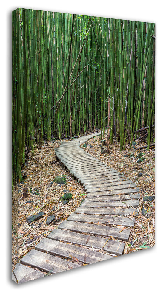 Pierre Leclerc 'Hiking Through The Bamboo Forest' Canvas Art, 32x22