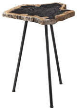 Uttermost Mircea Petrified Wood Accent Table