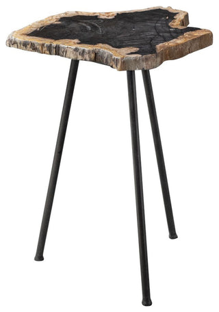 Uttermost Mircea Petrified Wood Accent Table