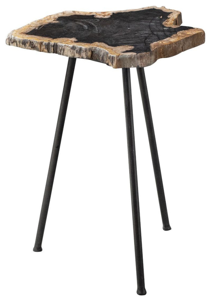 Uttermost Mircea Petrified Wood Accent Table