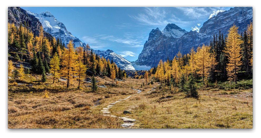 Pierre Leclerc 'Larch Forest In Autumn' Canvas Art, 32x16