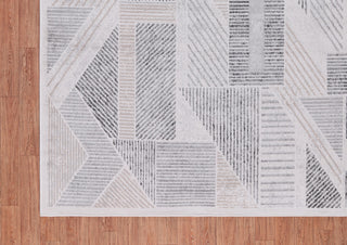 Low-Pile Auden Gray/Beige Rug, Gray, 10'x14'