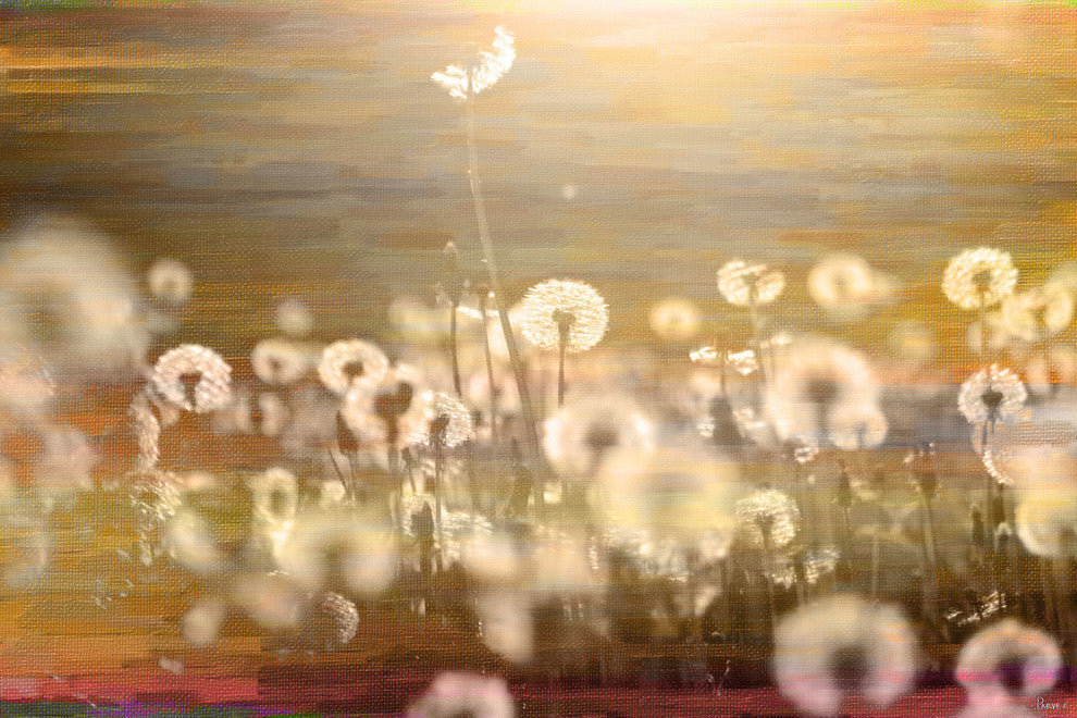 "Field" Fine Art Canvas Print, 36"x24"