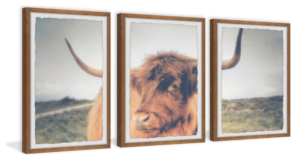 Cow's Eye View Triptych, 3-Piece Set, 12x18 Panels