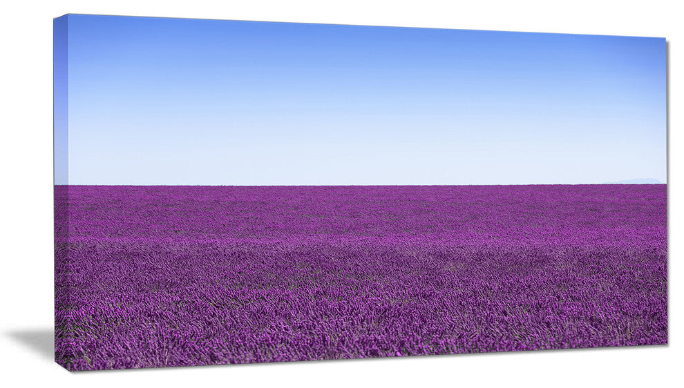 "Lavender Flowers With Blue Horizon" Landscape Wall Art Print, 32"x16"