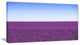 "Lavender Flowers With Blue Horizon" Landscape Wall Art Print, 32"x16"