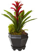Bromeliad In Black Hexagon Planter, Red