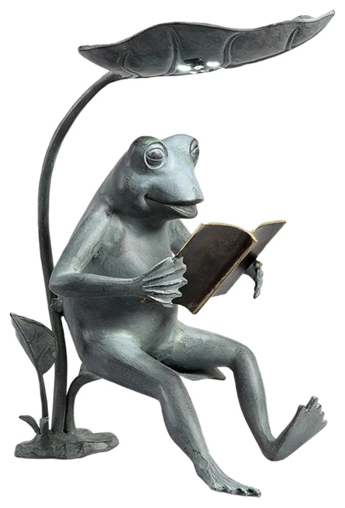 Reading Frog Birdfeeder with LED Light