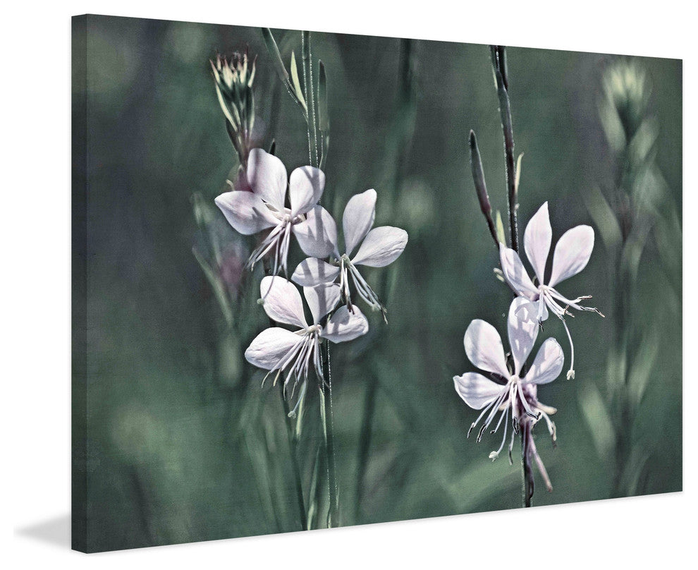 "Tiny Whites" Painting Print on Canvas by Robertson