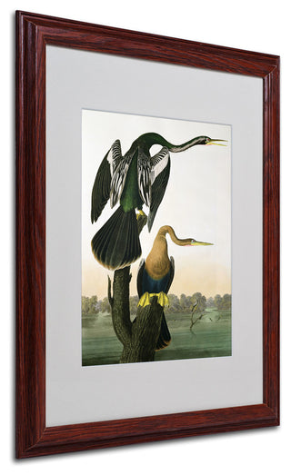 'Black-Billed Darter' Matted Framed Canvas Art by John James Audubon