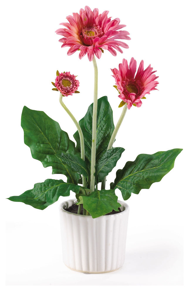 Gerber Daisy With White Vase, Set of 6