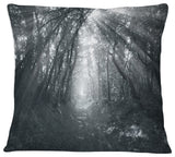 Sun Rays Through Gray Trees Landscape Photography Throw Pillow, 16"x16"