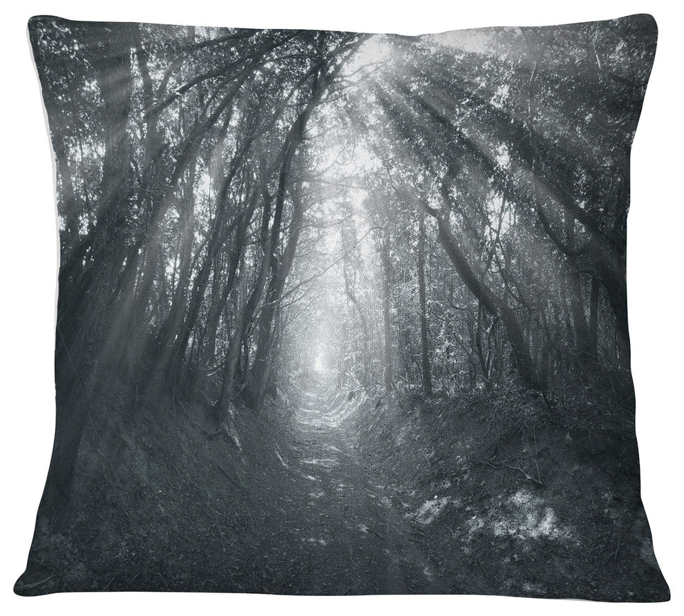 Sun Rays Through Gray Trees Landscape Photography Throw Pillow, 16"x16"
