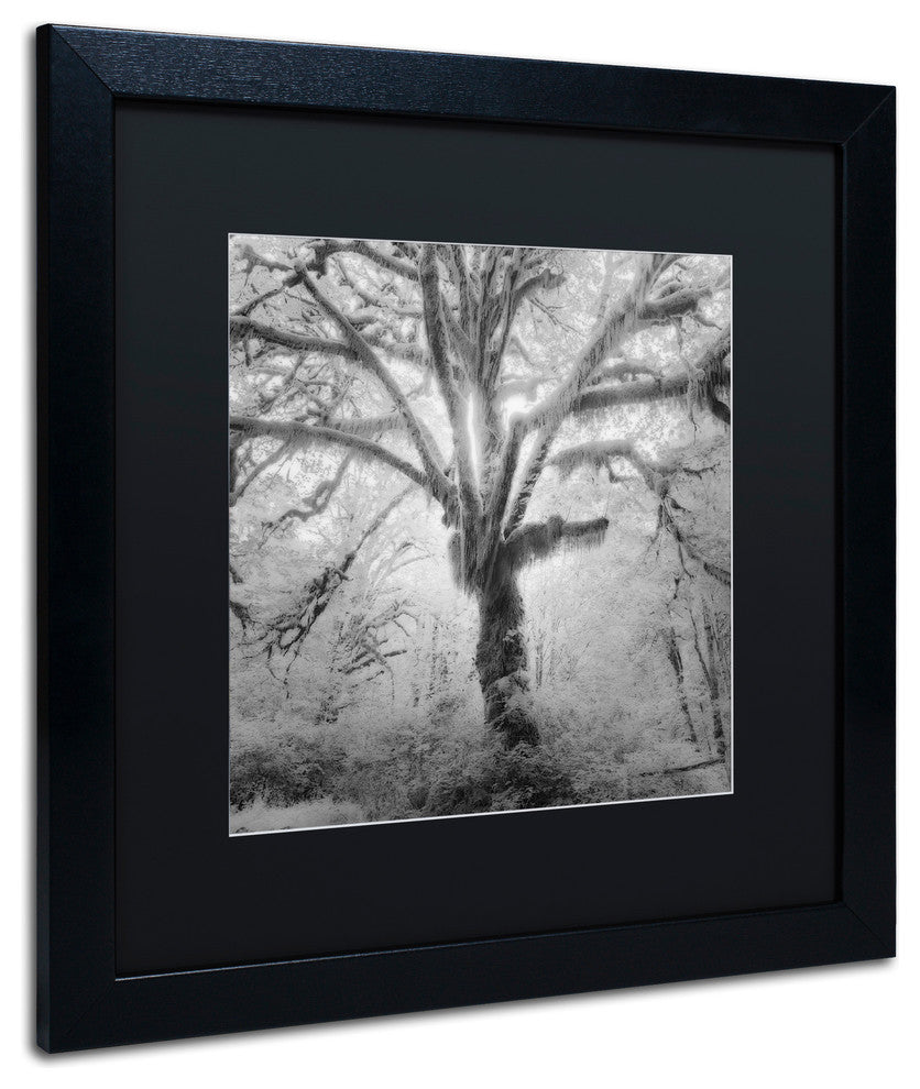 "Lightning Tree II" Matted Framed Canvas Art by Moises Levy
