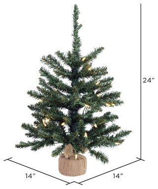 Vickerman B160425Led 24" Anoka Pine Christmas Tree, Warm White Led Lights