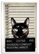Cortesi Home "Kitty Mugshot" by Nicklas Gustafsson, Giclee Canvas Art, 18"x26"