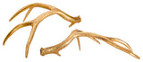 Golden Antlers, Set of 2