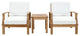 Modern Contemporary 3-Piece Set, Outdoor Patio Teak Sofa Set, White Wood