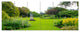 Plant and Flowers in Garden, Landscape Canvas Art Print, 70"x28", 6 Panels