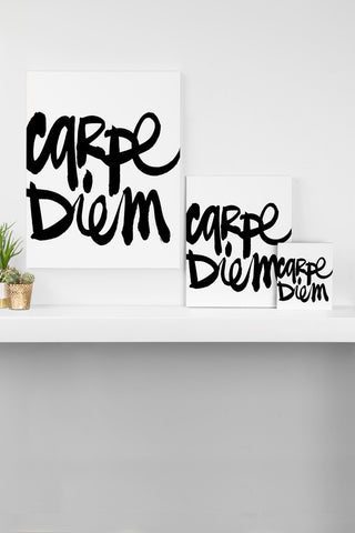 Deny Designs Kal Barteski Carpe Diem Art Canvas
