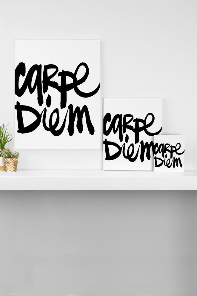 Deny Designs Kal Barteski Carpe Diem Art Canvas